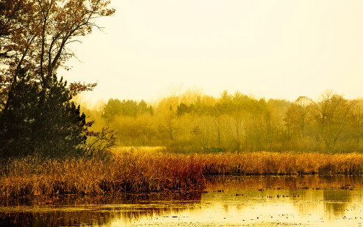 643587 (a): :2560x1600